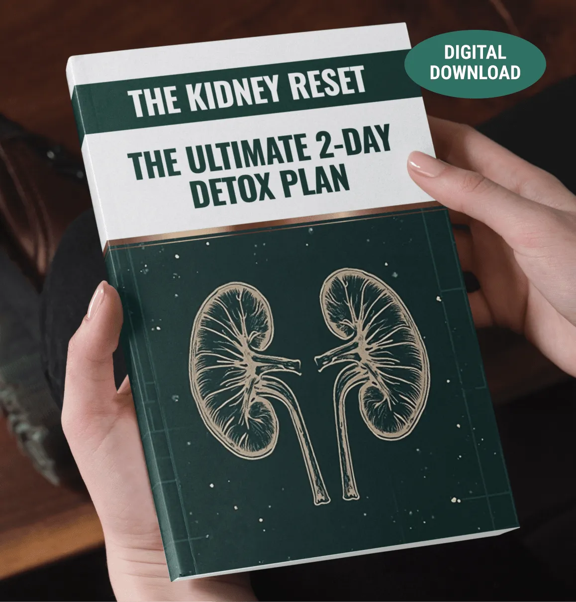 ViriFlow Bonus 1 The Kidney Reset 2-Day Detox Plan free eBook